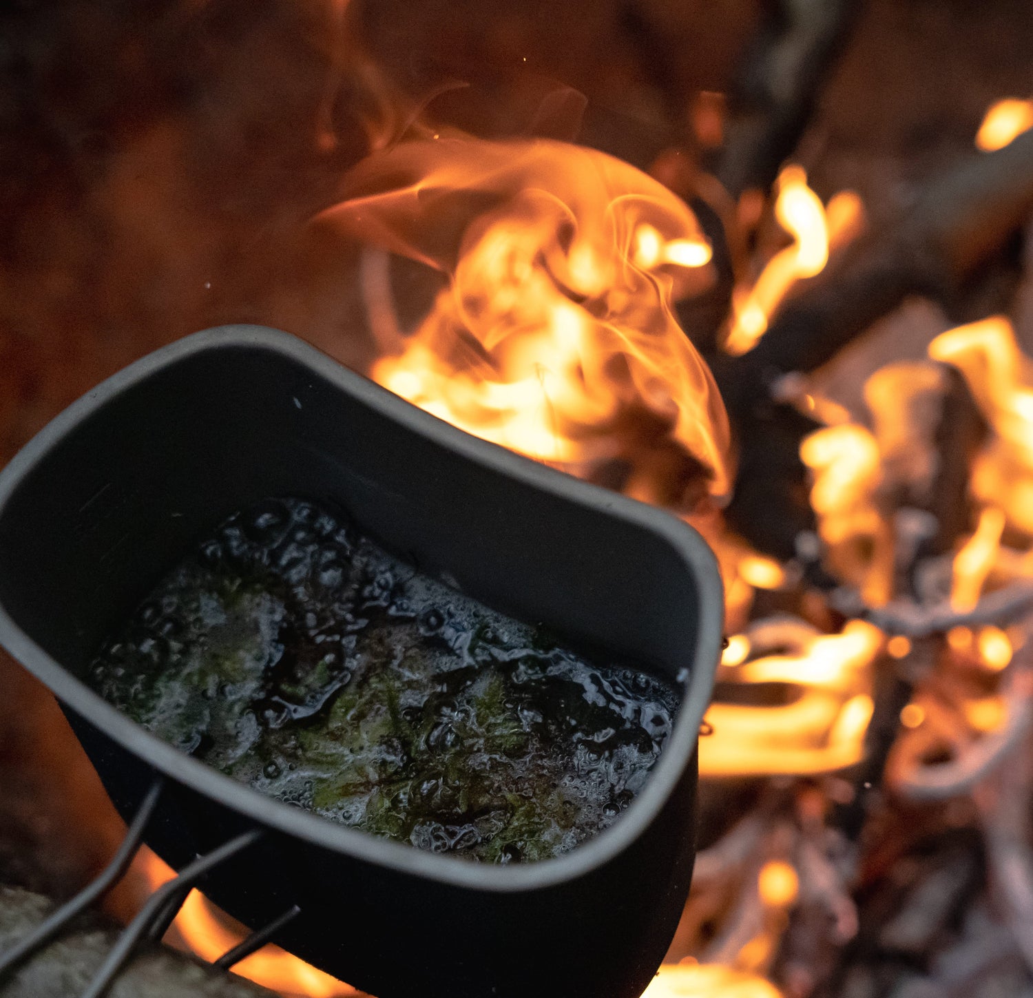 Überlebenstraining im September 2023! - EICHENWERK