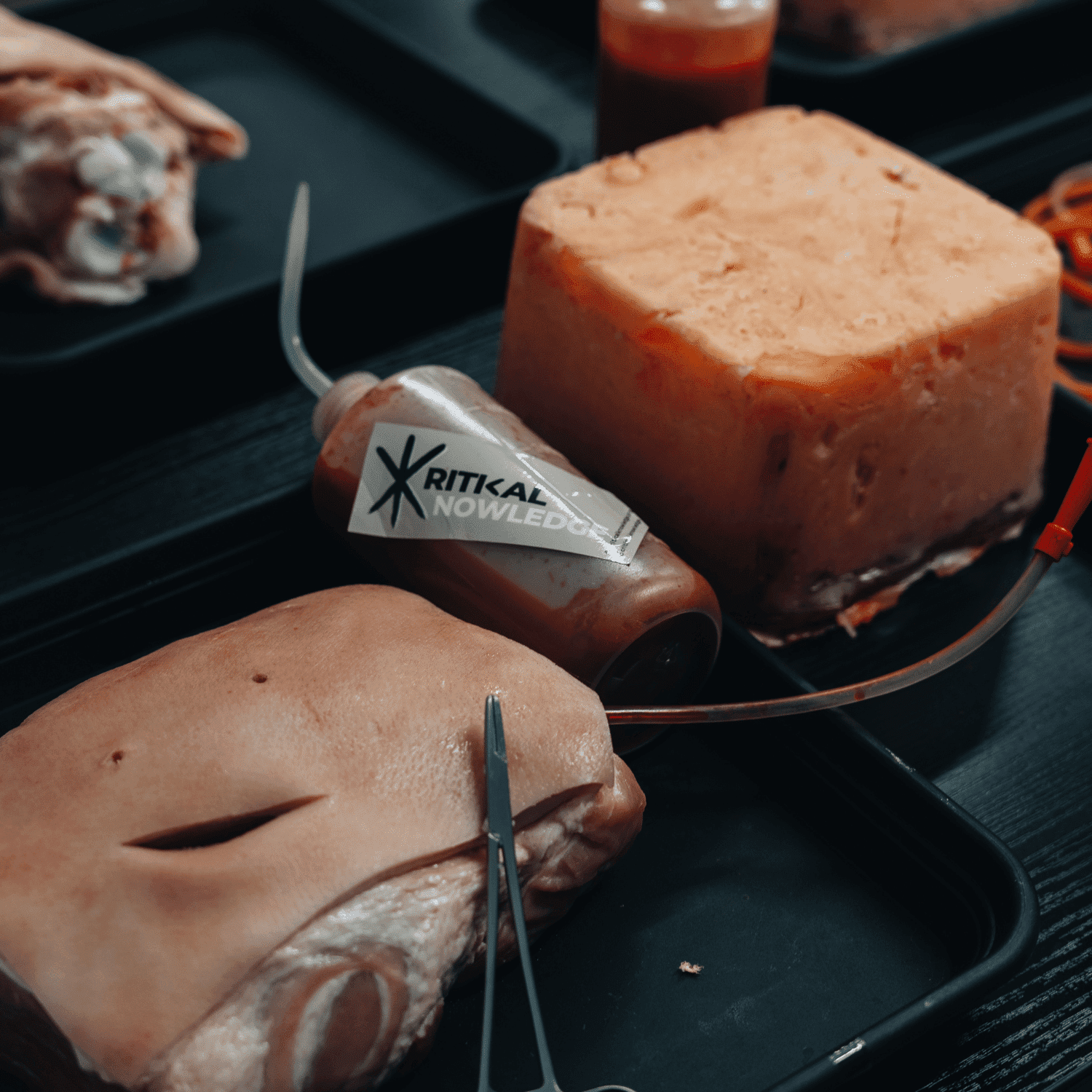 Erste Hilfe Kurs - Tourniquet - Chest Seal - Realistische Szenarien - EICHENWERK