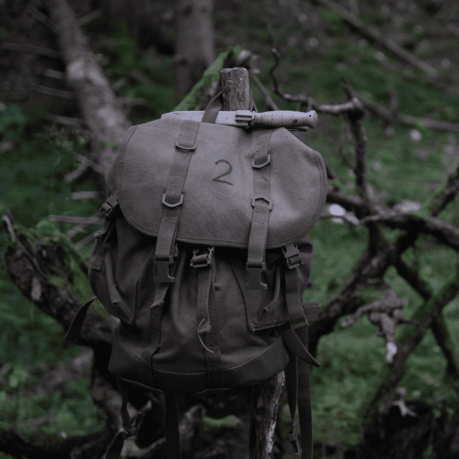 Überlebenstraining - Survivaltraining - Bushcraft - Survival - EICHENWERK