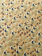 Kydex Muster "Special"